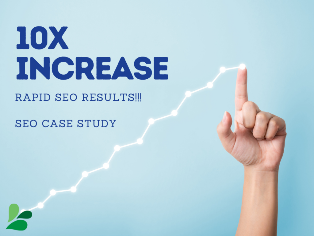 SEO & Digital Marketing Portfolio